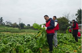 十大滚球体育app新人权益首页 > 